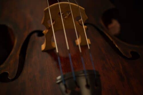 belen-garrido-double bass picture many thanks unsplash